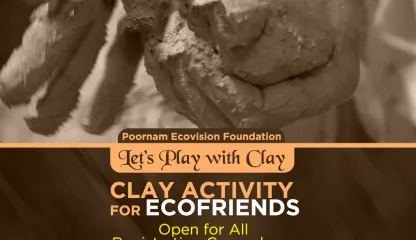 Sunday Activity 