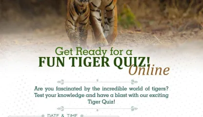 Get Ready for a Fun Tiger Quiz! 